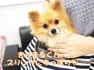 新しい家族が決まりました♪